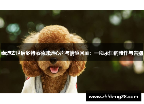泰迪去世后多特蒙德球迷心声与情感回顾：一段永恒的陪伴与告别
