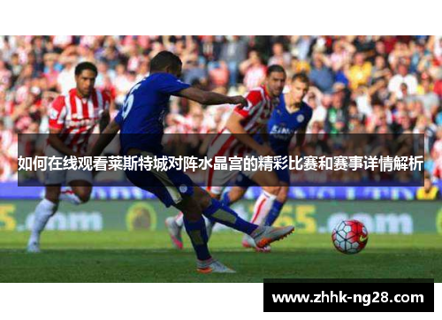 如何在线观看莱斯特城对阵水晶宫的精彩比赛和赛事详情解析