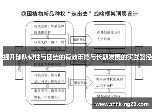 提升球队韧性与团结的有效策略与长期发展的实践路径